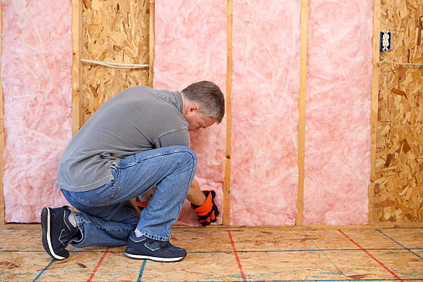 Best Attic Insulation Installation  in Holmes Beach, FL